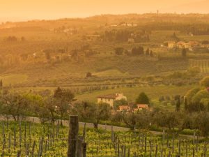 Chianti Classico Winery Tour