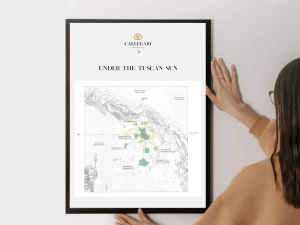 Tuscan Map