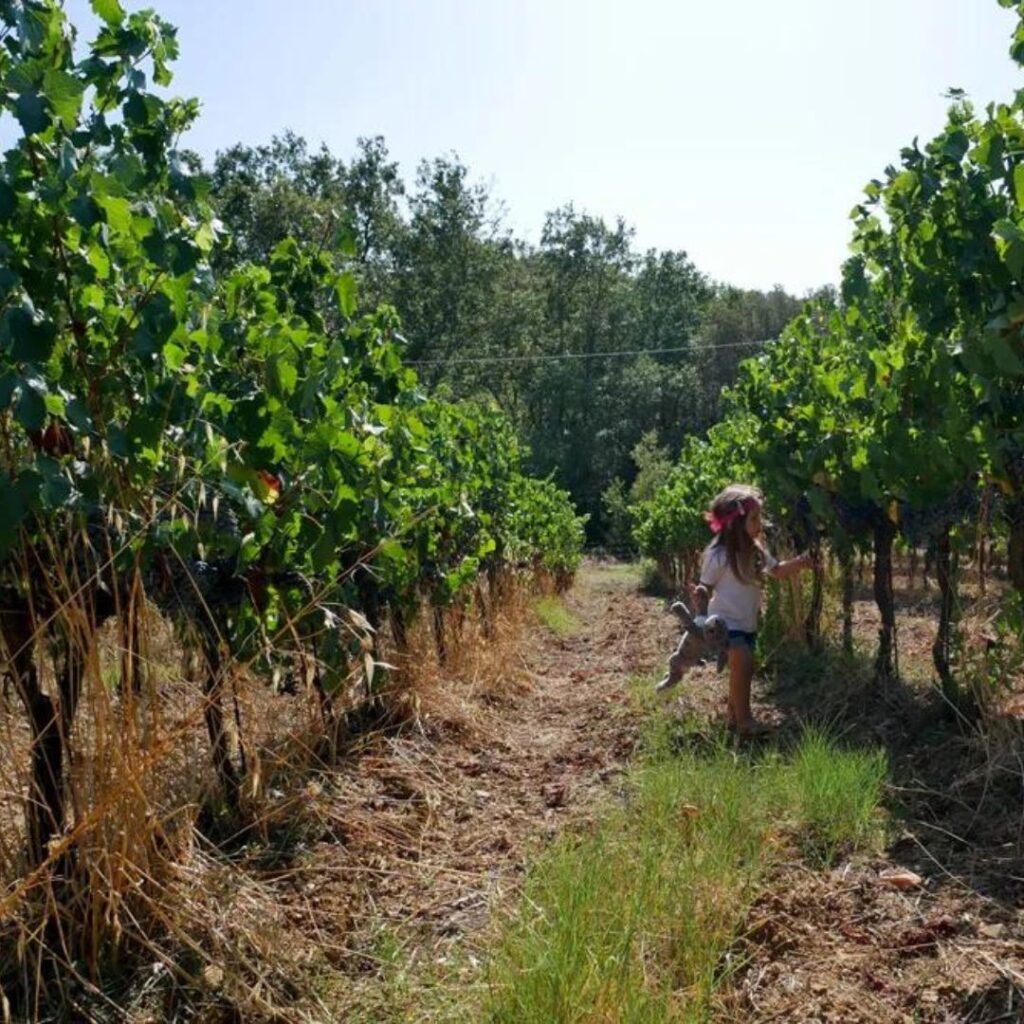 Macchion dei Lupi Suvereto