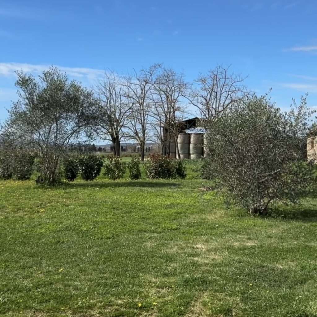 Zabala Fabiani Montecucco Toscana wine