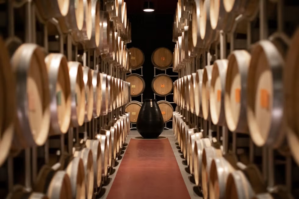 Roberto Cipresso Montalcino